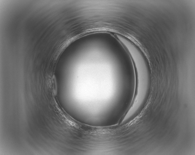 X0000053120993200508081247