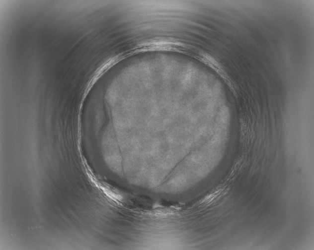 X0000053120994200508081247