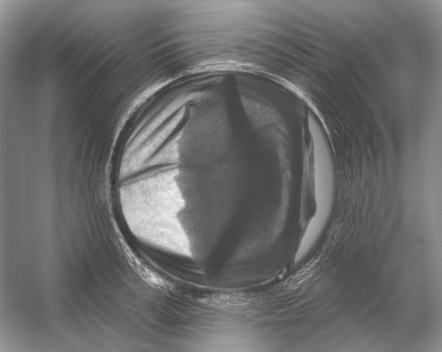 X0000053120995200508081247