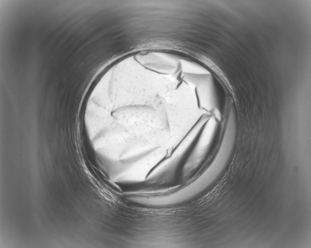 X0000053120996200508081247