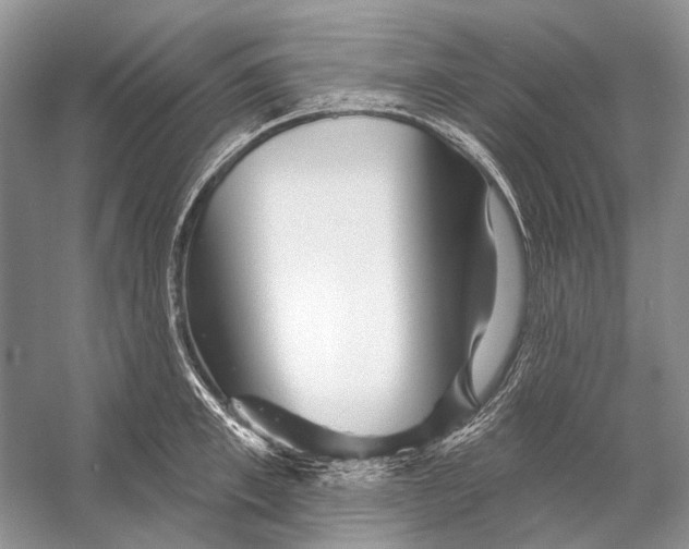 X0000053120997200508081247