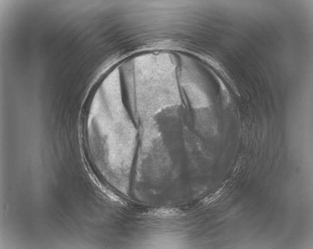 X0000053120998200508081247