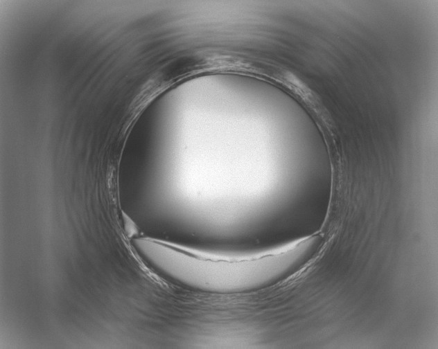 X0000053121001200508081247