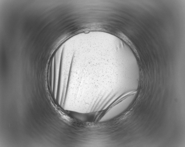 X0000053121002200508081247