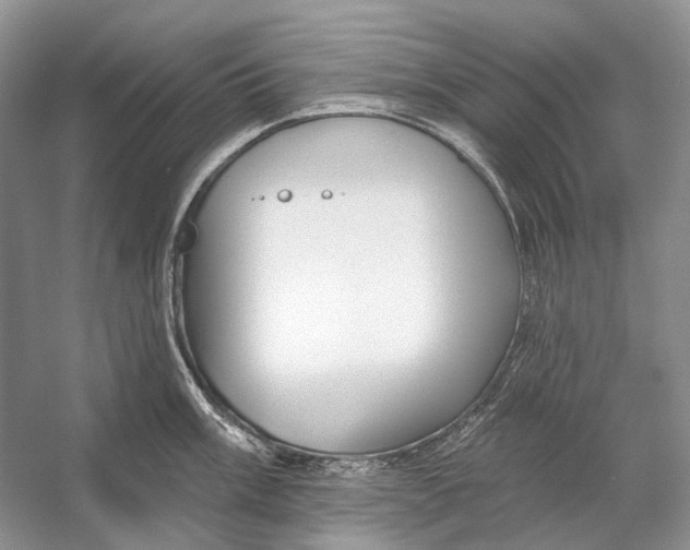 X0000053121003200508081247