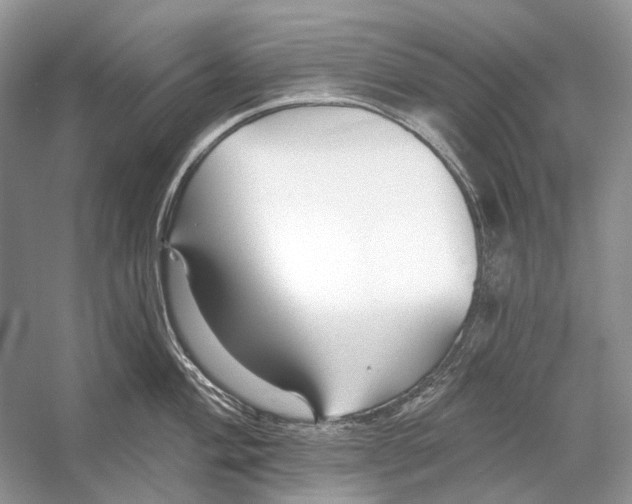 X0000053121004200508081247