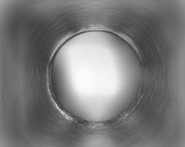 X0000053121006200508081247