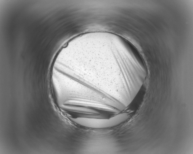 X0000053121008200508081247