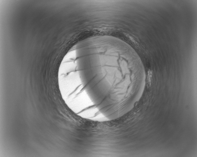 X0000053121009200508081246