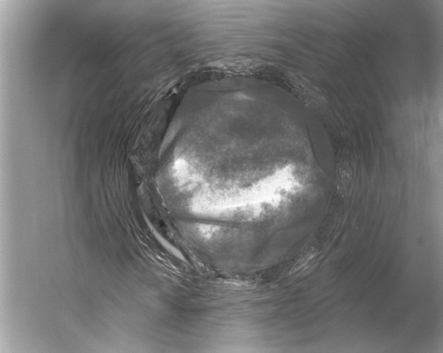 X0000053121010200508081246