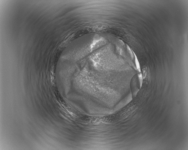 X0000053121011200508081246