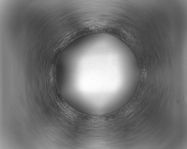 X0000053121012200508081246