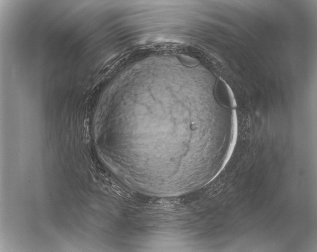 X0000053121013200508081246