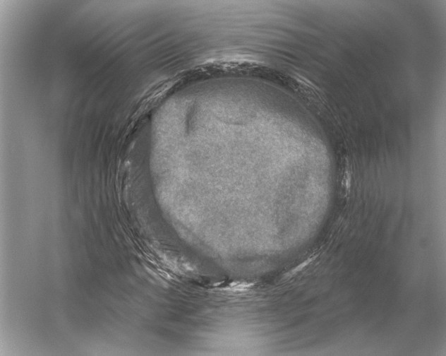 X0000053121014200508081246