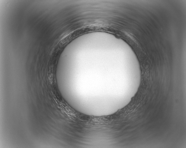 X0000053121015200508081246