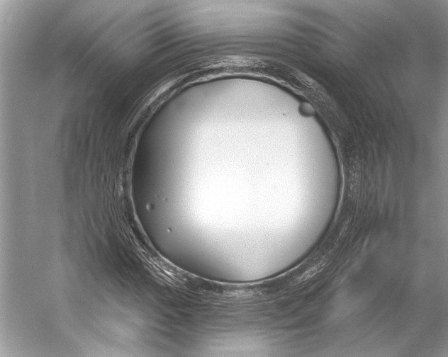 X0000053121017200508081246