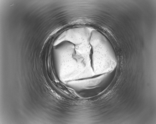 X0000053121018200508081246