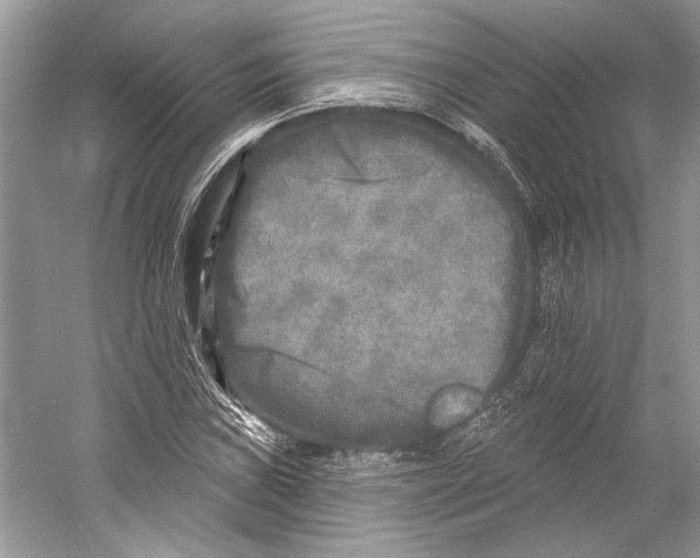 X0000053121019200508081246