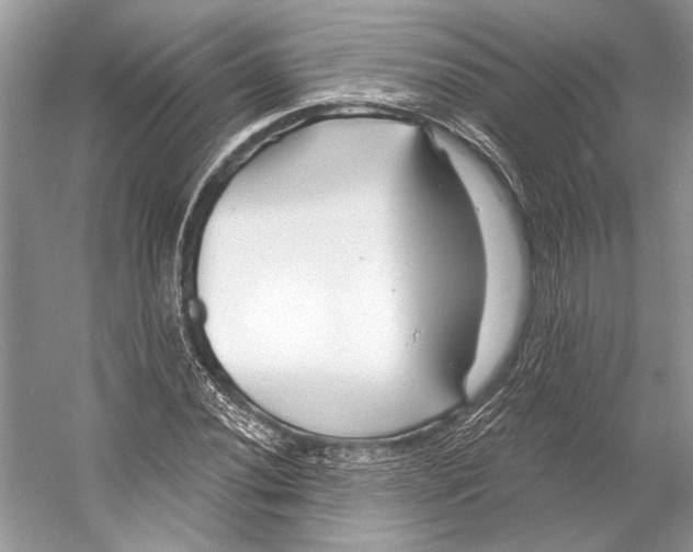 X0000053121020200508081246