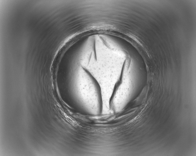 X0000053121022200508081246