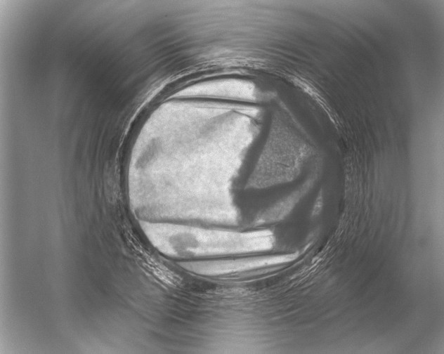 X0000053121023200508081246