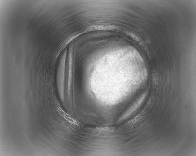 X0000053121025200508081246