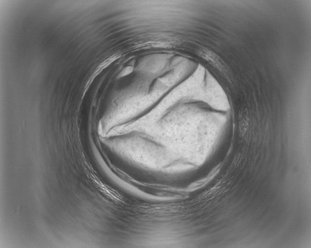 X0000053121026200508081246