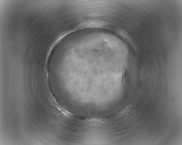 X0000053121027200508081246