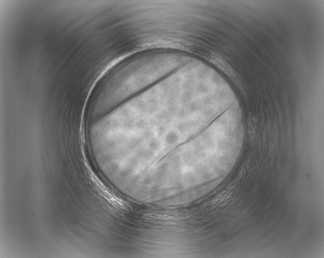 X0000053121028200508081246