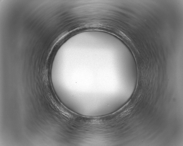 X0000053121029200508081246