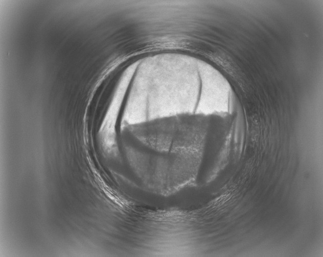 X0000053121031200508081246