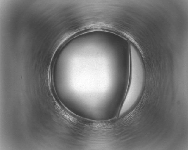 X0000053121032200508081246