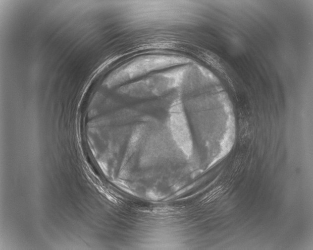 X0000053121035200508081246