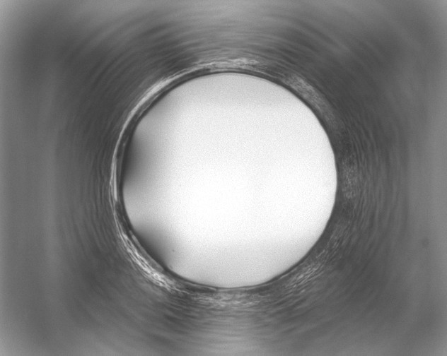 X0000053121036200508081246