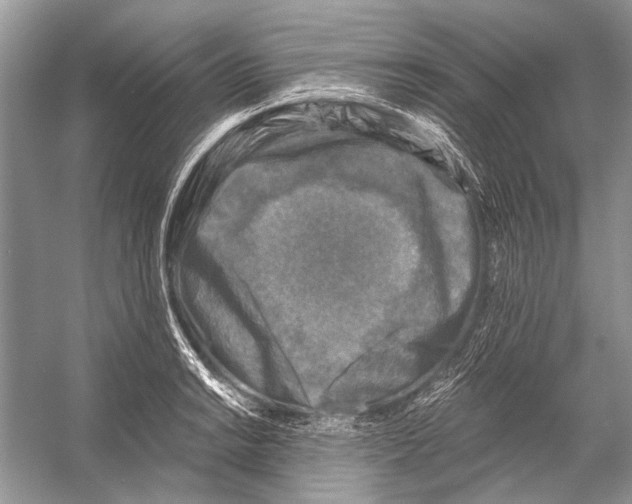 X0000053121038200508081246