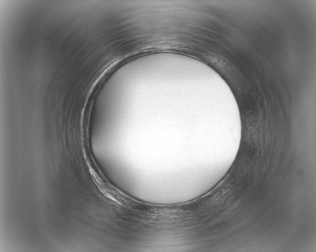 X0000053121039200508081246