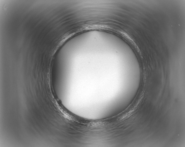 X0000053121041200508081246