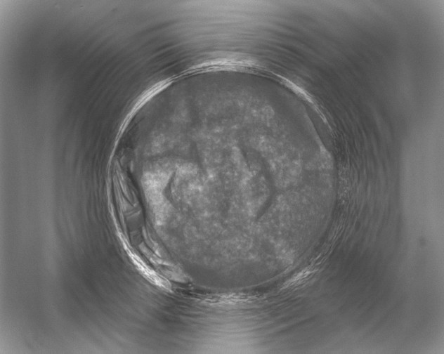 X0000053121042200508081246