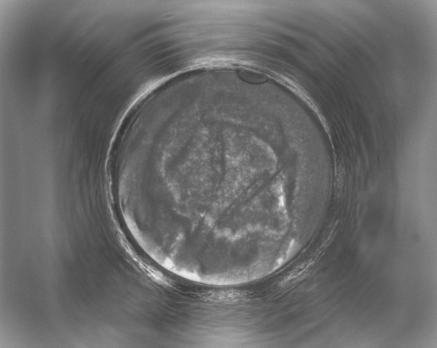 X0000053121045200508081246