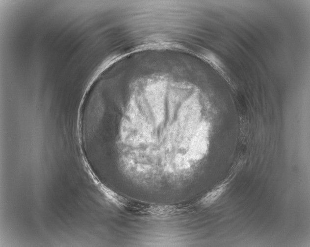 X0000053121046200508081246