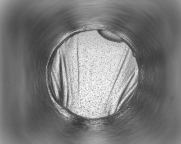 X0000053121047200508081246