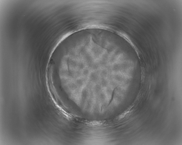 X0000053121048200508081246