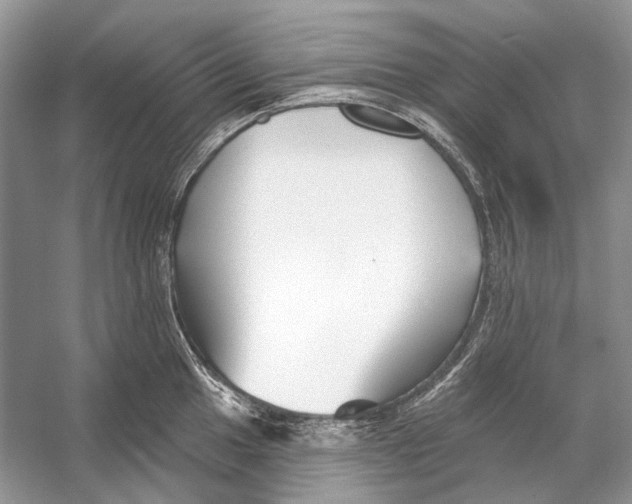 X0000053121049200508081246