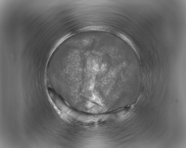 X0000053121050200508081246