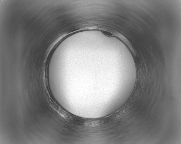 X0000053121051200508081246