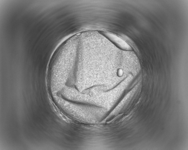 X0000053121052200508081246