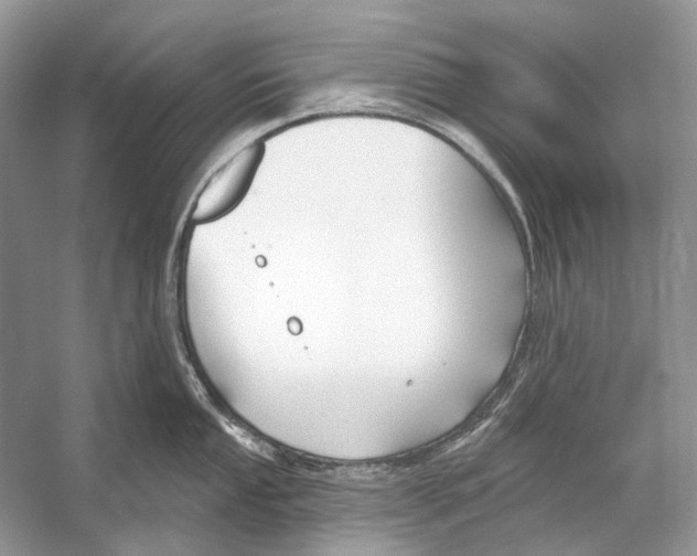 X0000053121053200508081246