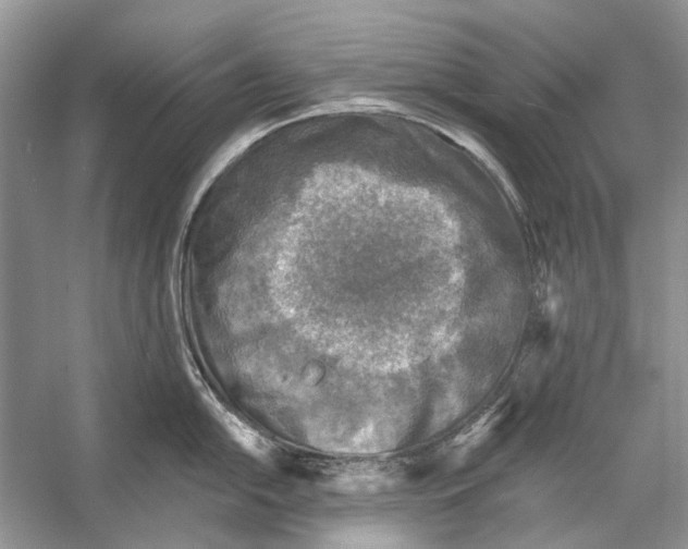 X0000053121054200508081247