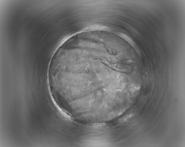 X0000053121055200508081247