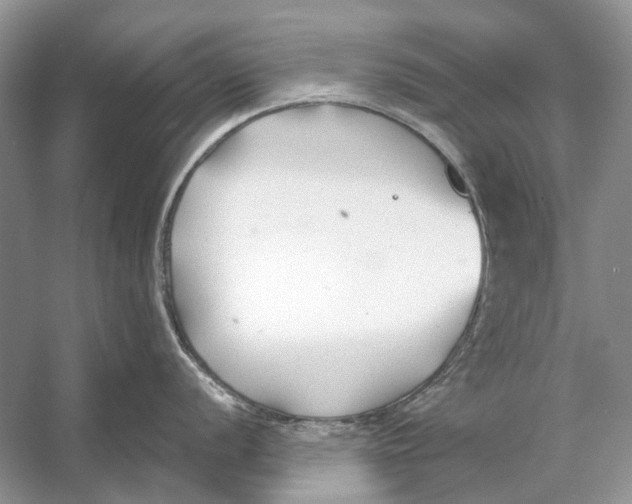 X0000053121056200508081247